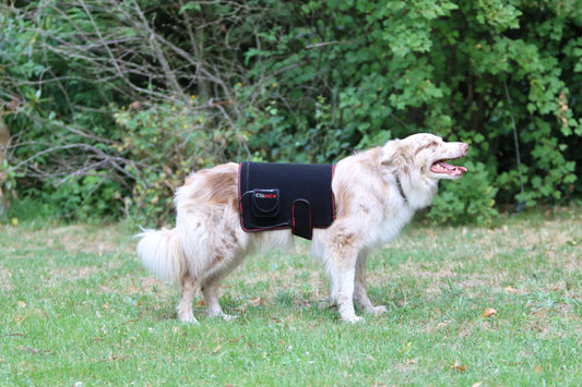 CellKick - Hondenpad