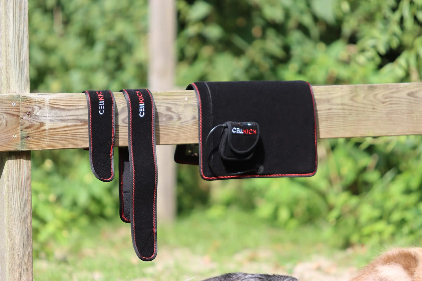 CellKick - Combideal Hond Topline