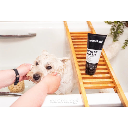 Animology - White Wash Dog Shampoo 250ml