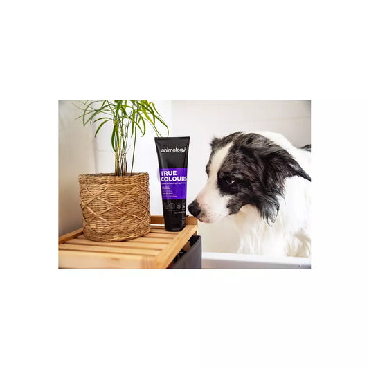Animology - True Colours Dog Shampoo 250ml