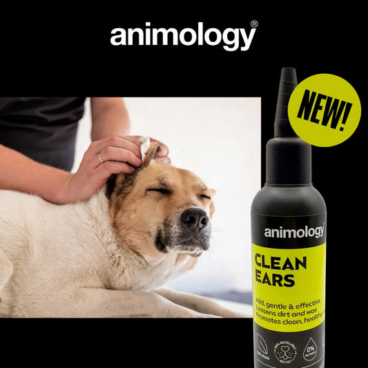 Animology - Clean Ears 100ml