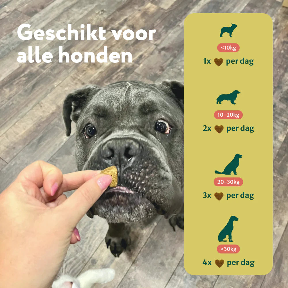 DS Anti Poep Eten | Stop ongewenst poep eten | 100% natuurlijk | 60 snoepjes