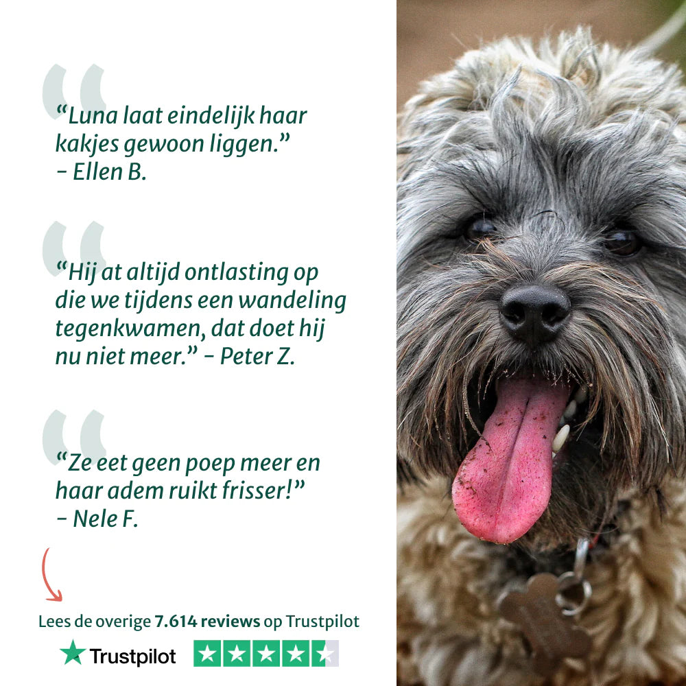 DS Anti Poep Eten | Stop ongewenst poep eten | 100% natuurlijk | 60 snoepjes