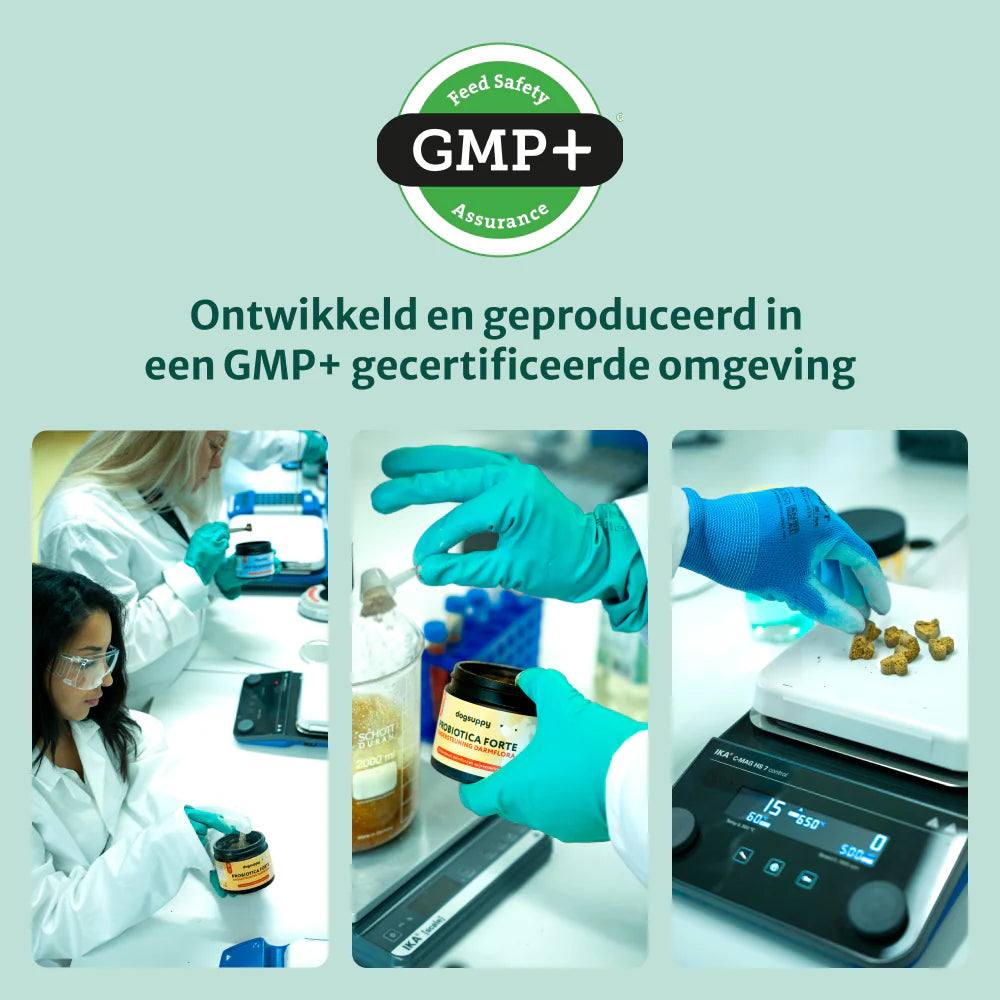 DS Anti Poep Eten | Stop ongewenst poep eten | 100% natuurlijk | 60 snoepjes