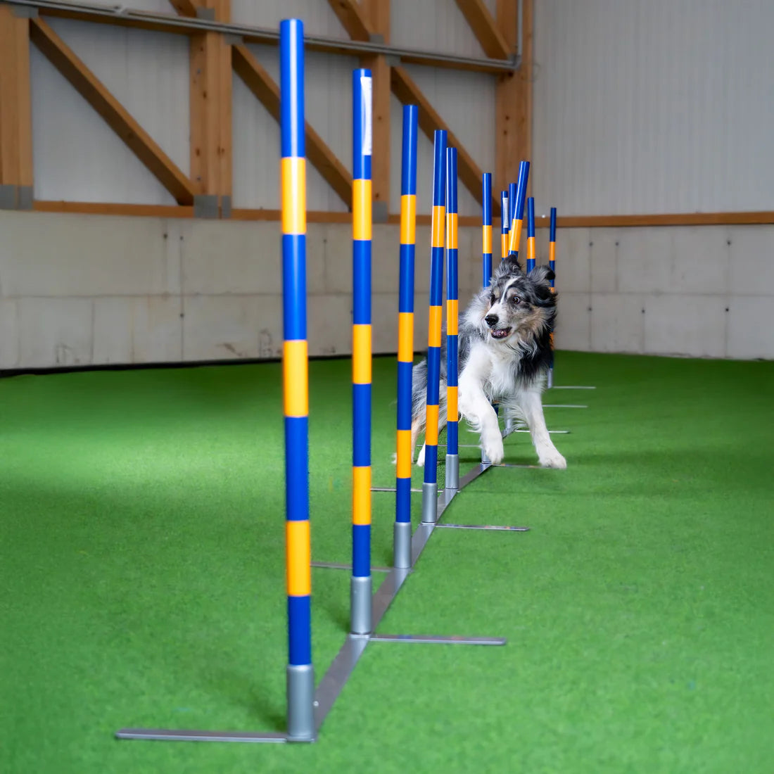 Agility Slalom "Vario"