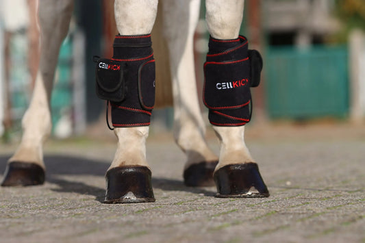 CellKick - Beenpad Pro Set + GRATIS HH CORE