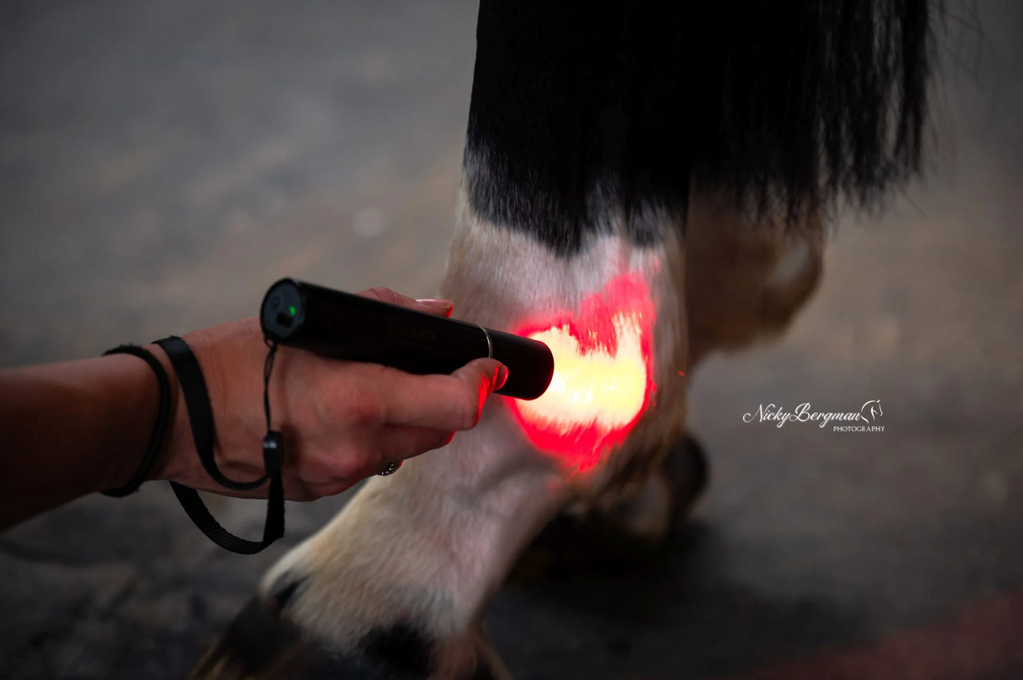 CellKick - Handheld Core