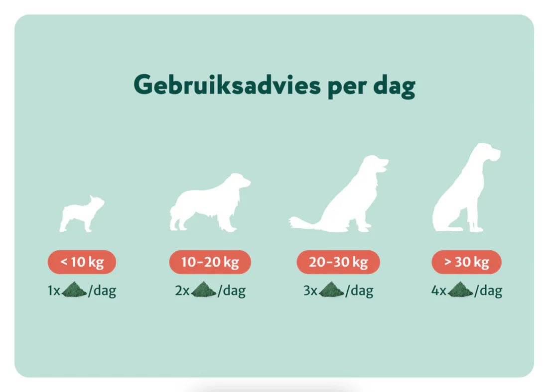 DS Probiotica Forte poeder | Bevat GEEN zetmeel en eiwitten | Hypoallergeen | 60 schepjes