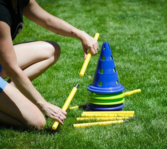 FitPAWS Canine Gym Kit