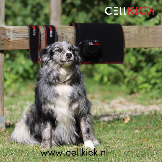 CellKick - Combideal Hond