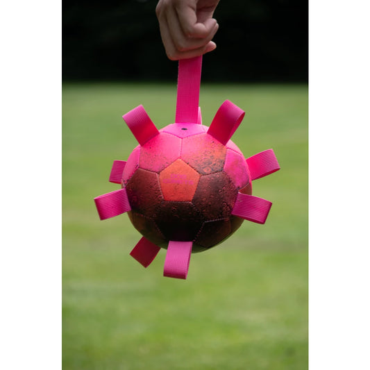 Dog Comets Hypernova bal met lussen - Roze