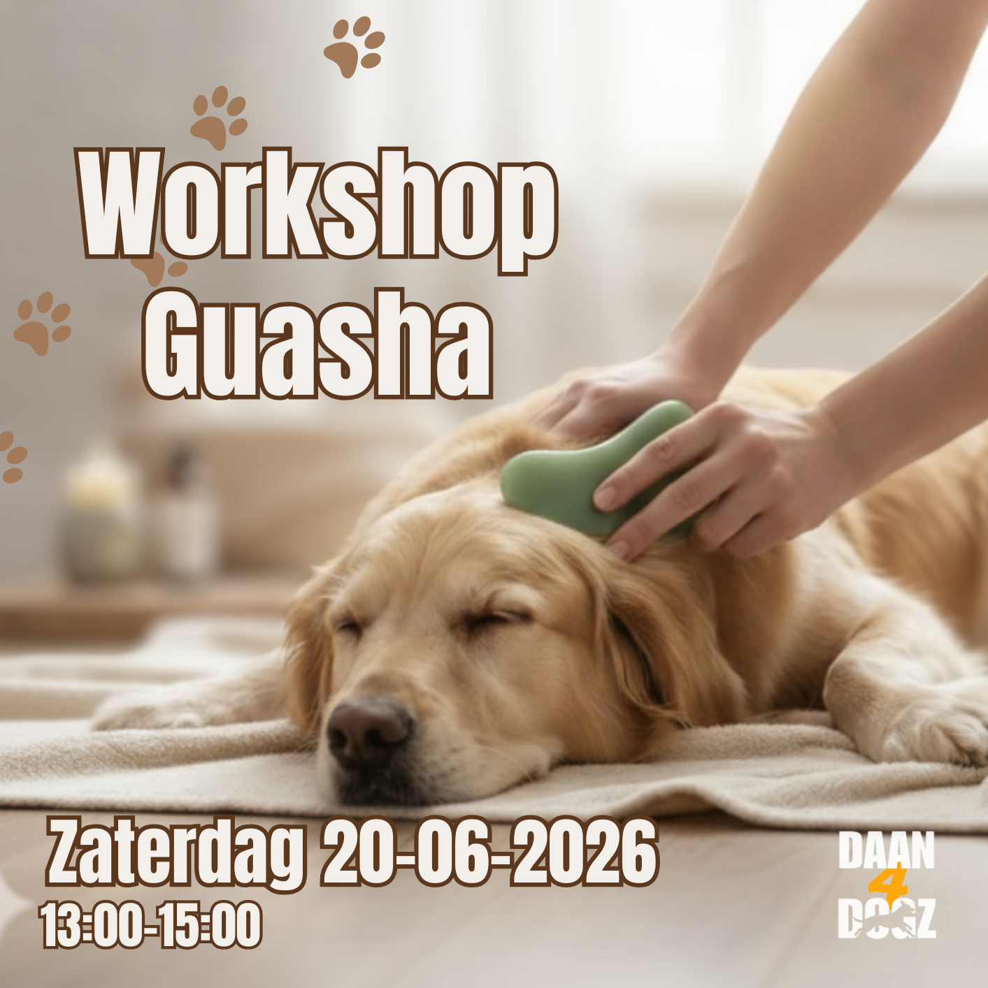 Workshop Guasha 20 juni - 13:00
