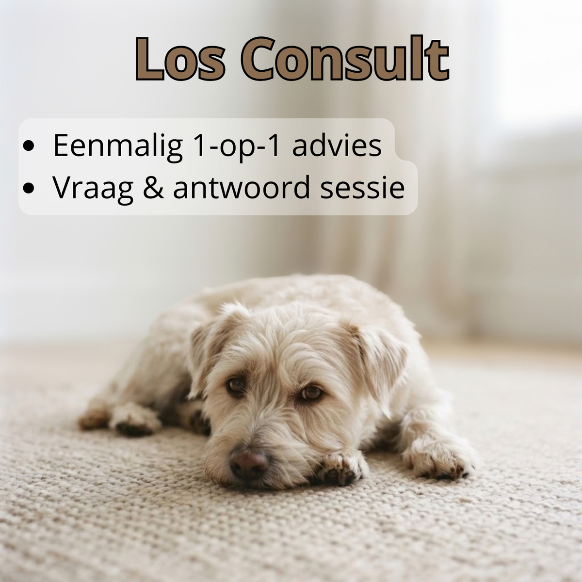 Roodlicht - Los Consult