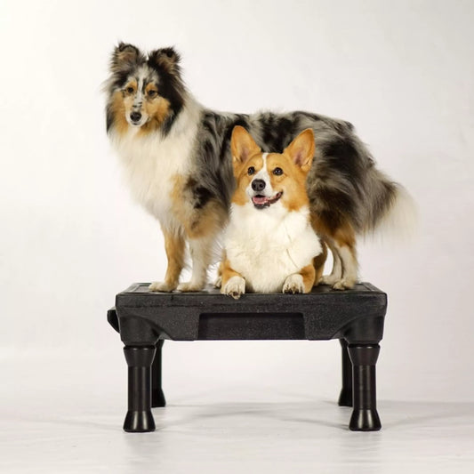 Klimb - div. kleuren