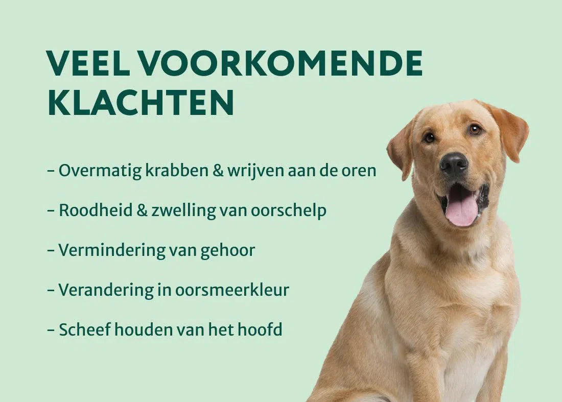 DS Oorreiniger | Diepe reiniging en bescherming tegen ongemakken | 100 ml