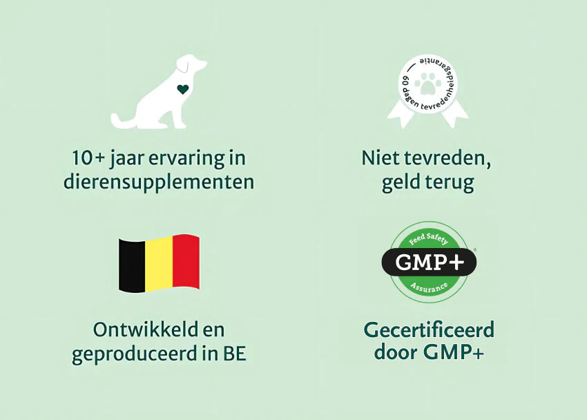 DS Oorreiniger | Diepe reiniging en bescherming tegen ongemakken | 100 ml