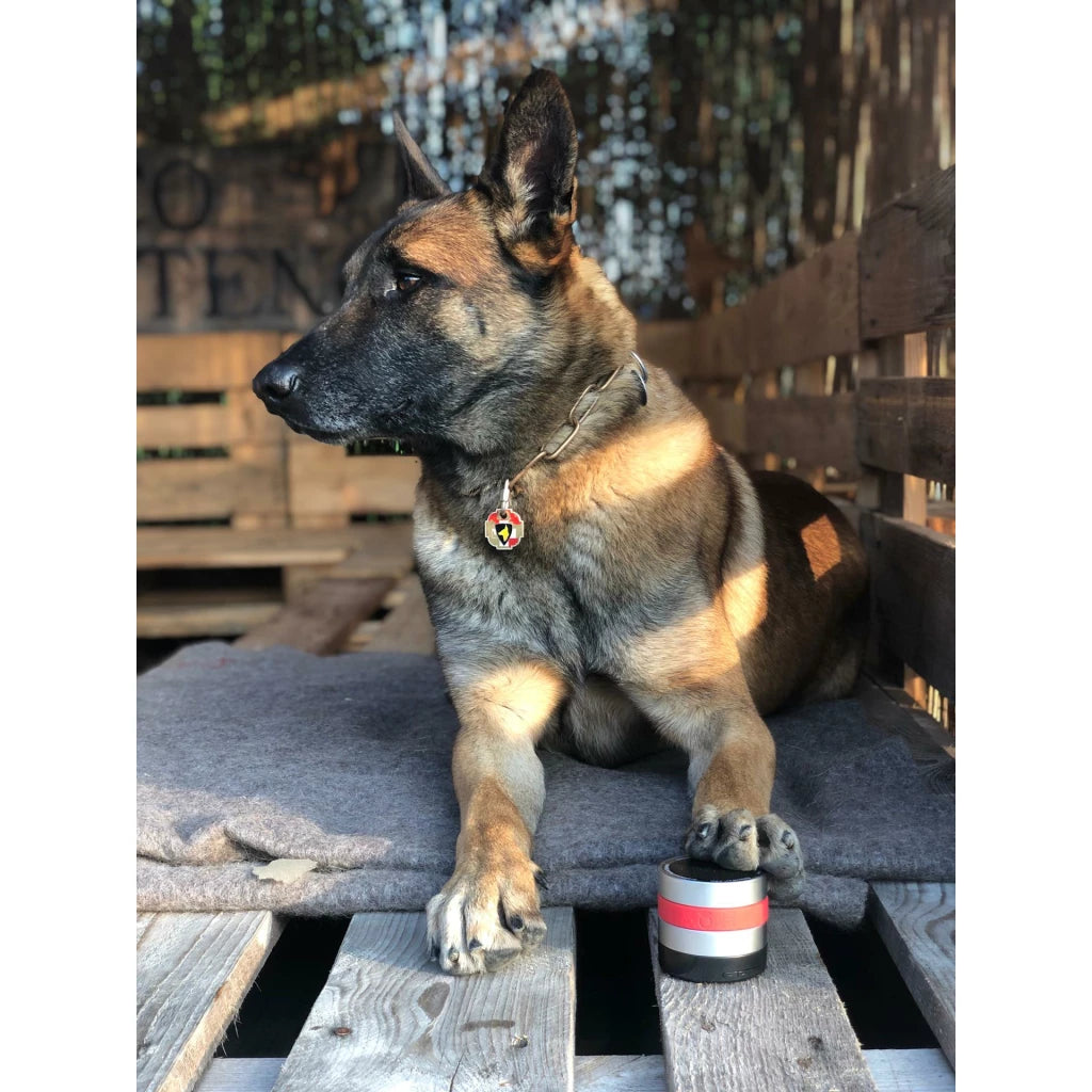 RelaxoPet PRO Hond