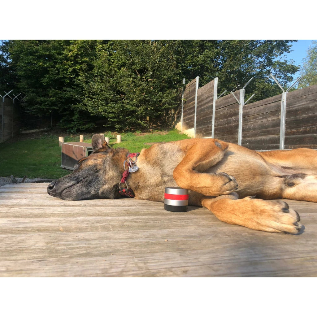 RelaxoPet PRO Hond
