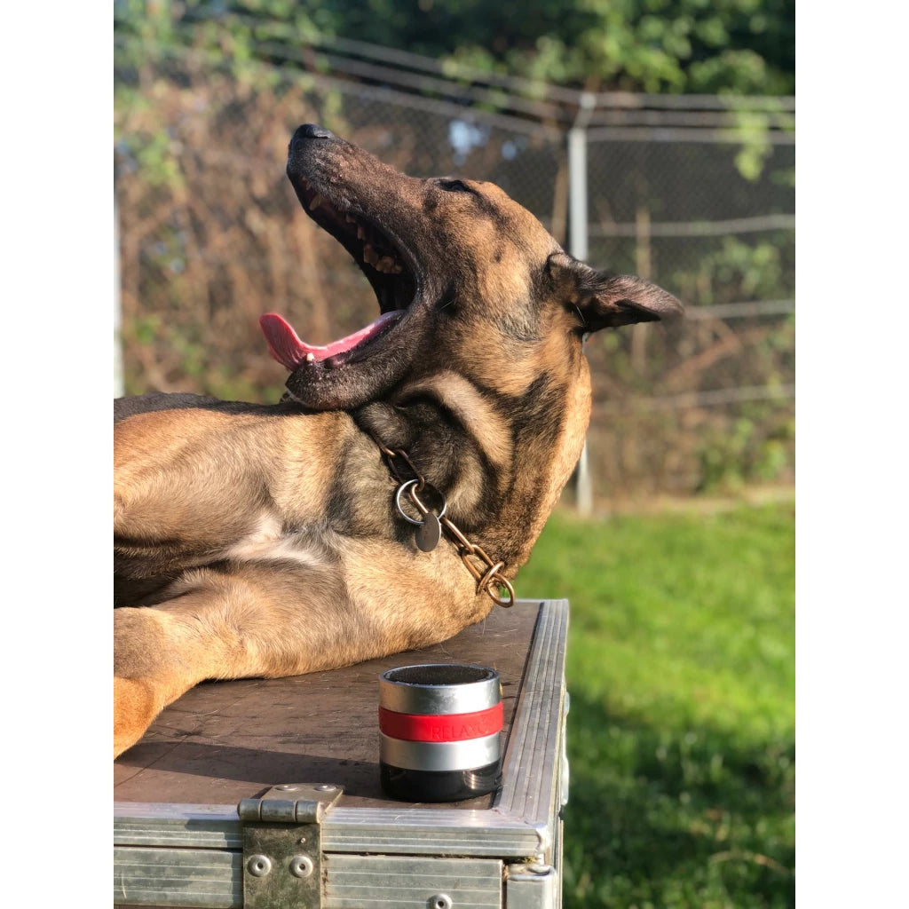 RelaxoPet PRO Hond