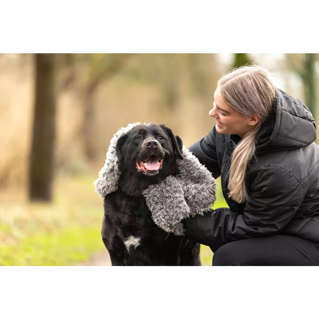 Royal Dry - Handdoek voor Honden