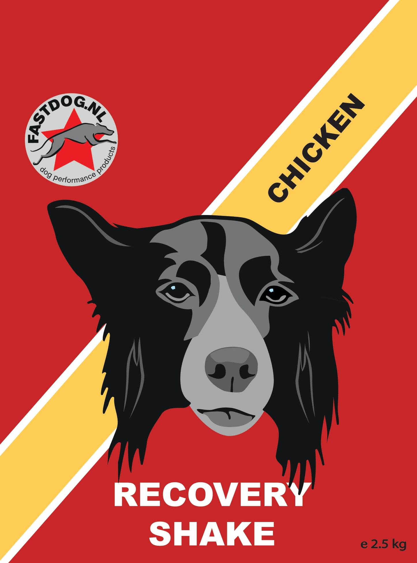 Fastdog Recovery Shake - diverse varianten
