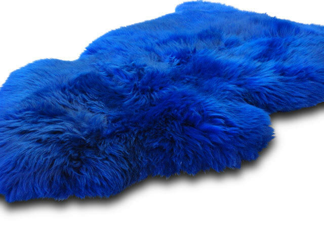 Agilitoy - Sheepsy Color