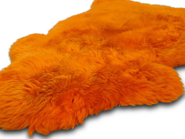 Agilitoy - Sheepsy Color