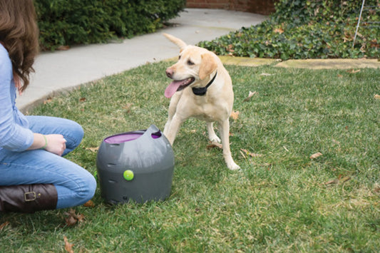 PetSafe - Automatic Ball Launcher