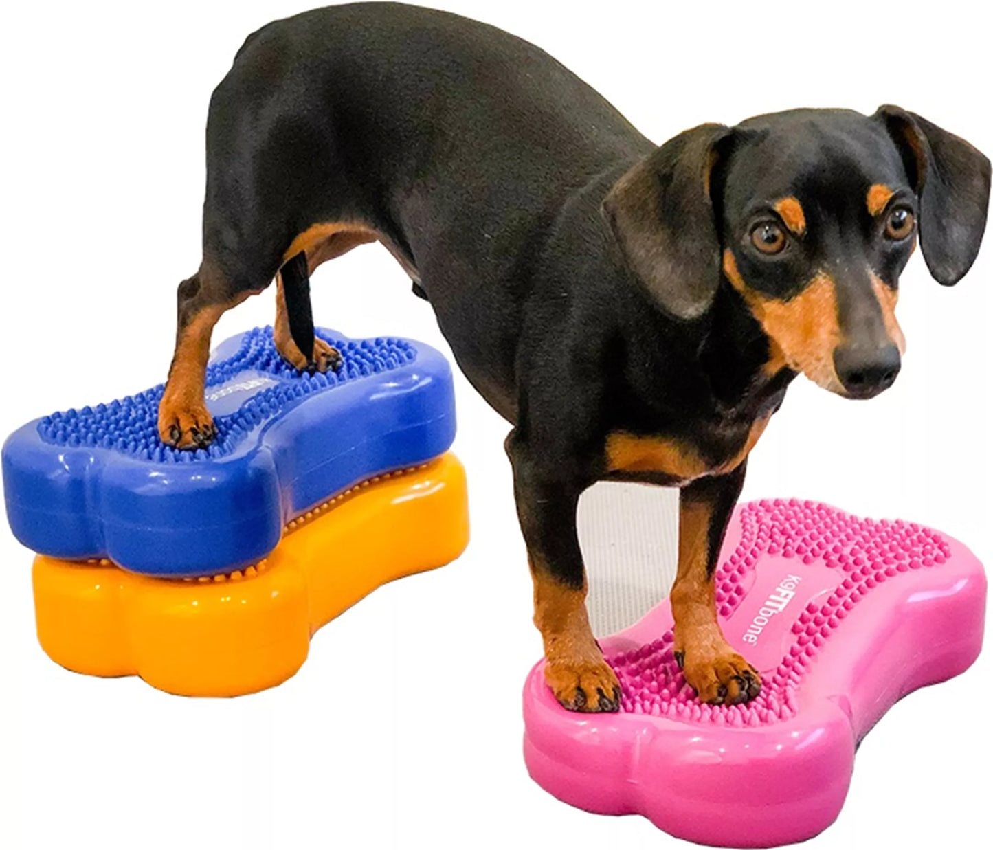 FitPAWS Bones Mini 2st - div. kleuren