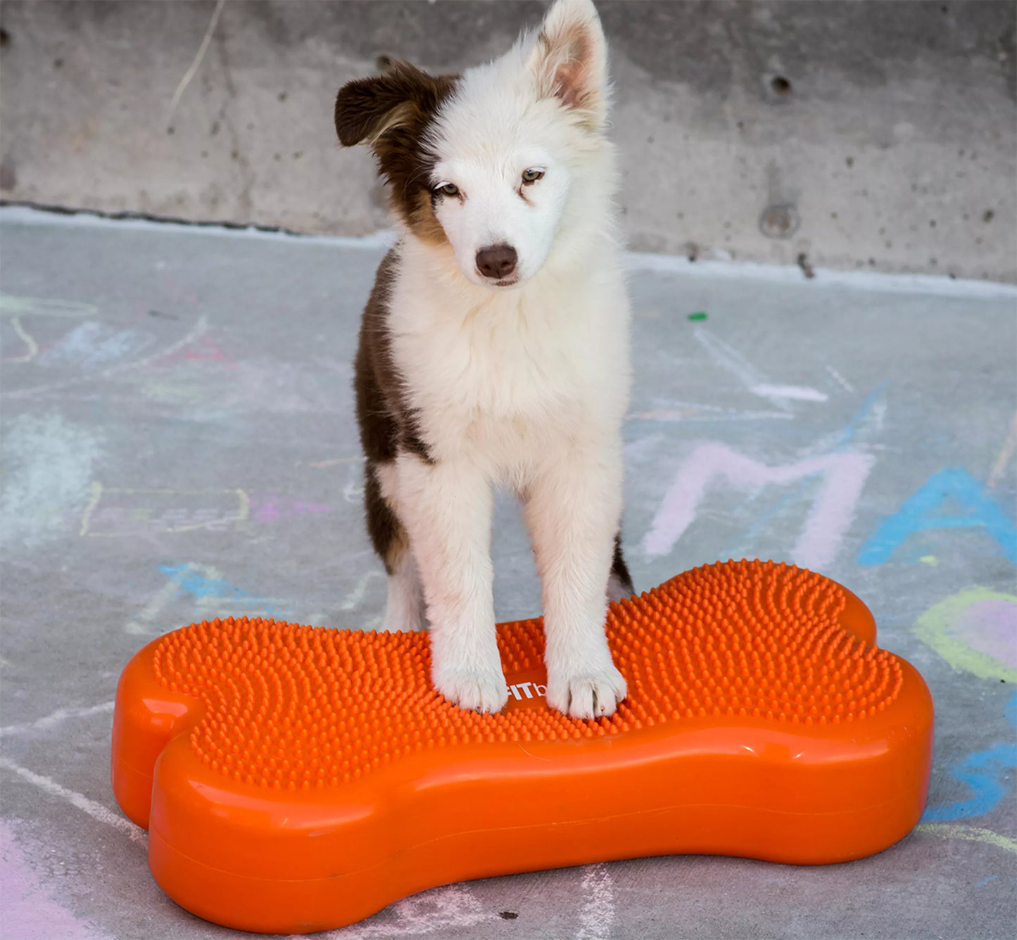 K9FITBone - 58 x 29 x 10 cm