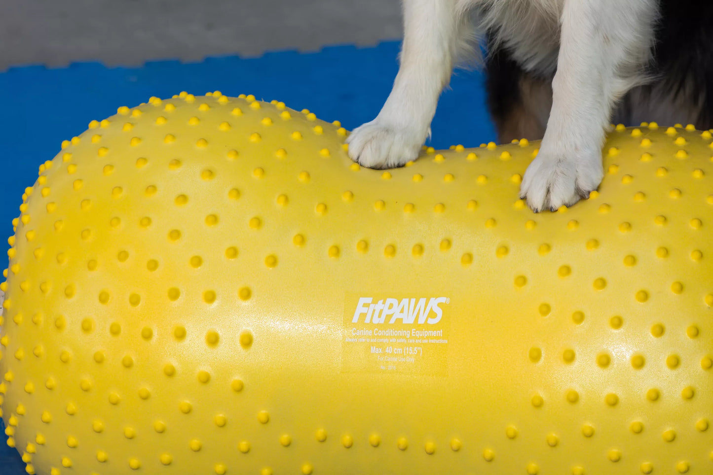 FitPAWS Peanut Trax - 40 cm
