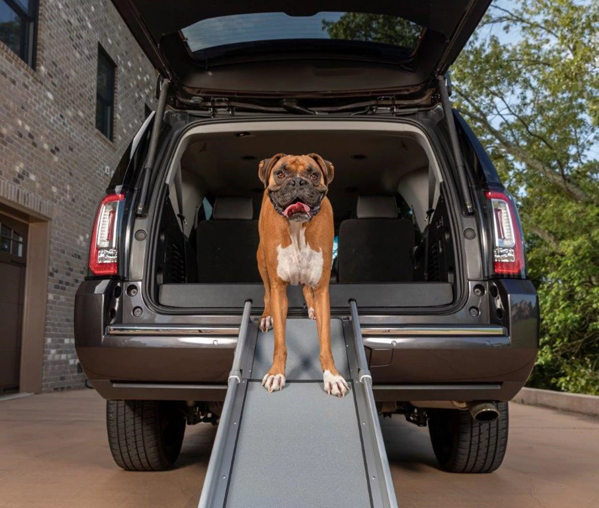PetSafe - Happy Ride Compact Telescoping Dog Ramp