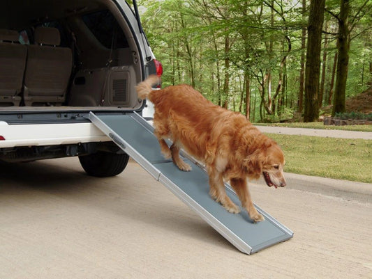 PetSafe - Happy Ride Telescoping Dog Ramp