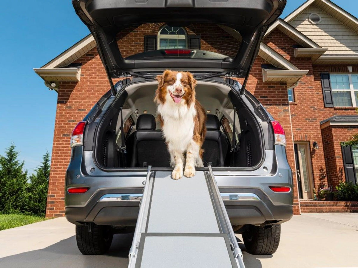 PetSafe - Happy Ride Extra-long Telescoping Dog Ramp