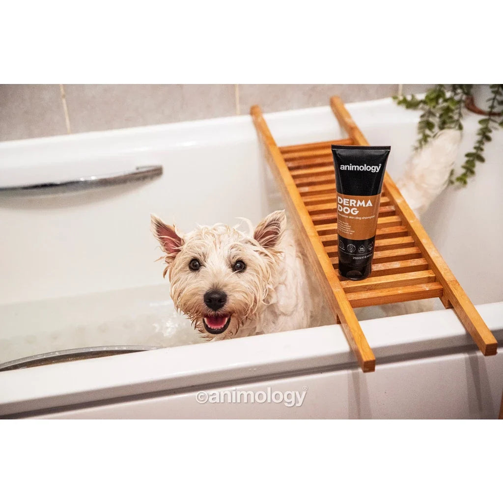 Animology Shampoo