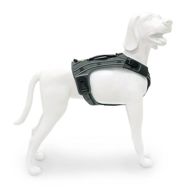 EQDOG® Tuigen, Lijnen & Halsbanden