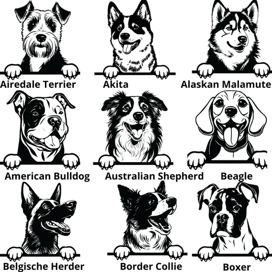 Extra's voor paspoorthoesje - Glurende hond