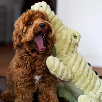 Quapas! XXL Hondenknuffel pluche - div. varianten