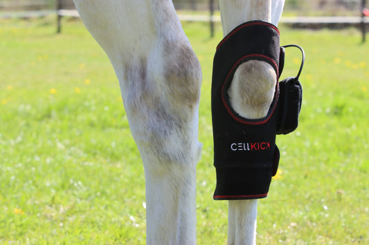 CellKick - Sprongpad