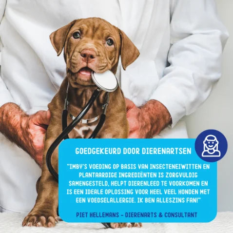 Imby Snacks - Dental Sticks