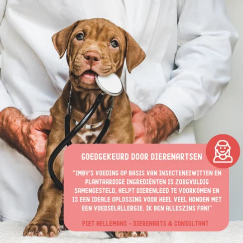 Imby Snacks - Huid & Vacht