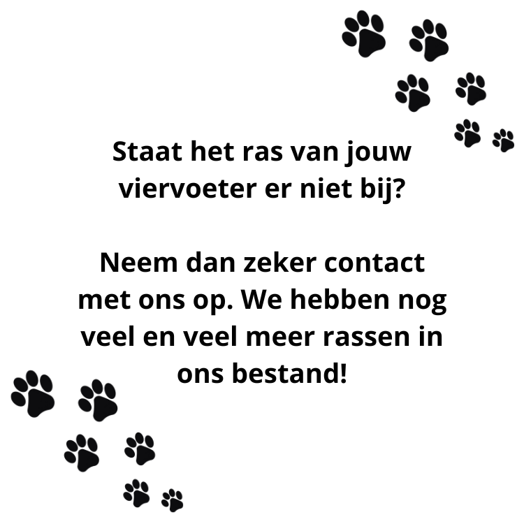 Kerstbal met silhouet hondenras