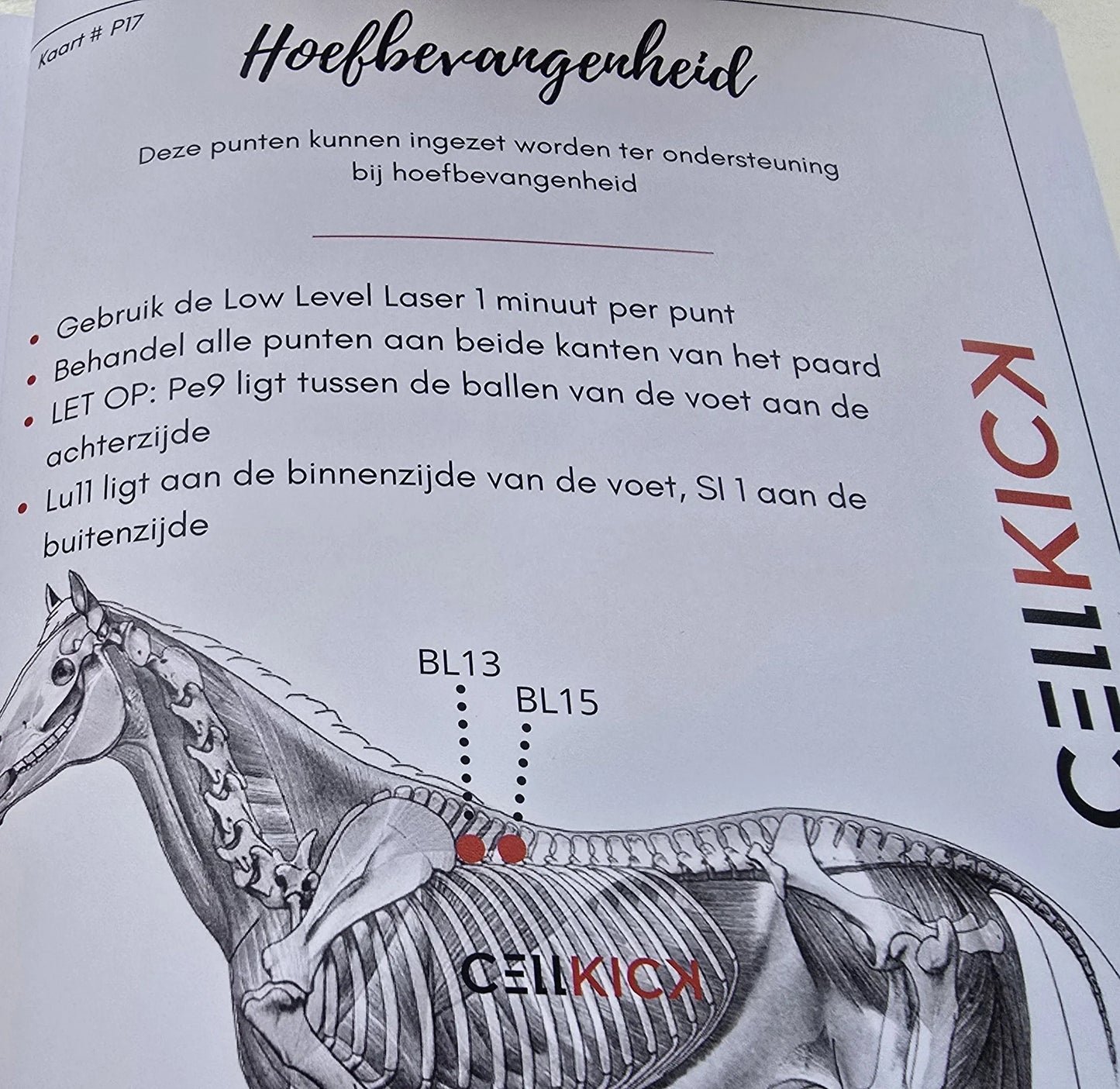 CellKick - Acupressuur kaarten boek