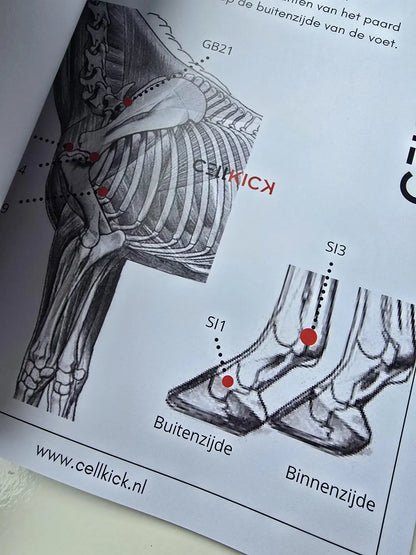 CellKick - Acupressuur kaarten boek