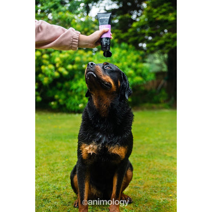Animology - Flea & Tick Dog Shampoo 250ml