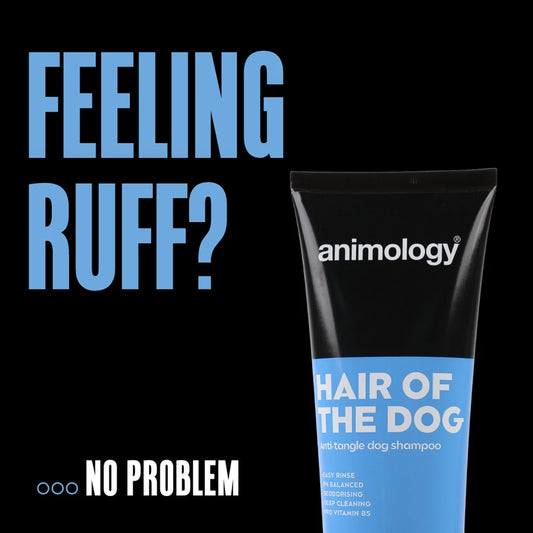 Animology - Hair Of The Dog Anti-Tangle Dog Shampoo 250ml
