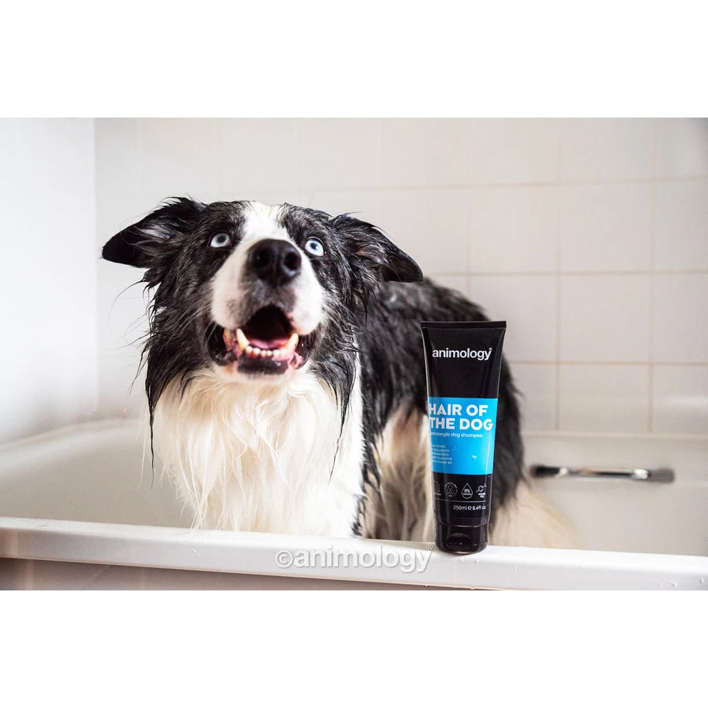 Animology - Hair Of The Dog Anti-Tangle Dog Shampoo 250ml