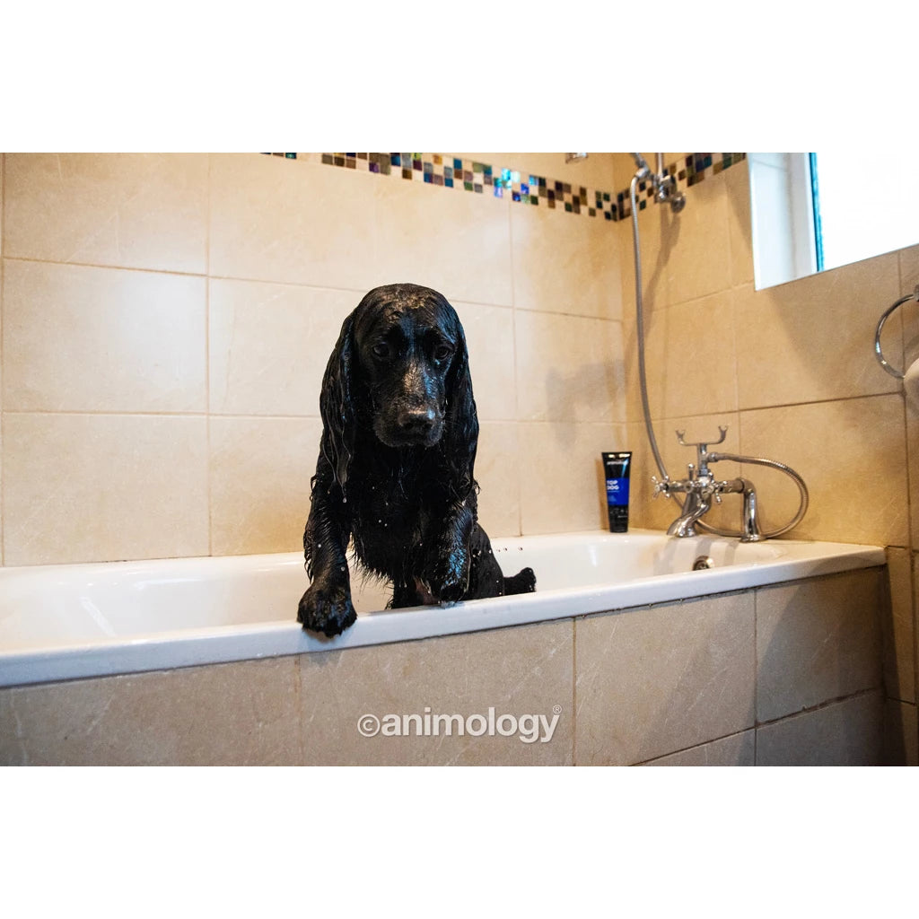 Animology - Top Dog Dog Conditioner 250ml