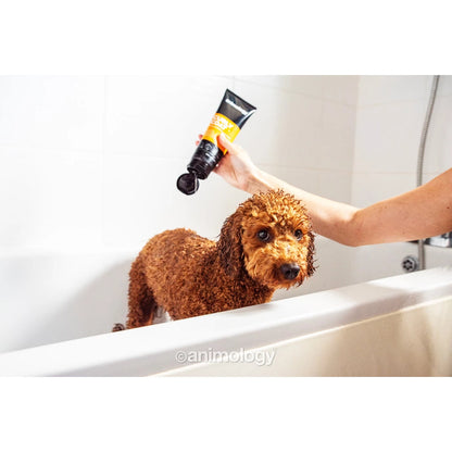 Animology - Curly Coat Dog Shampoo 250ml