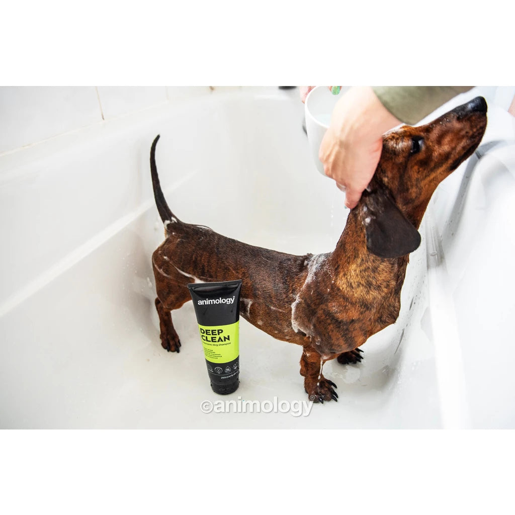 Animology - Deep Clean Intensive Dog Shampoo 250ml